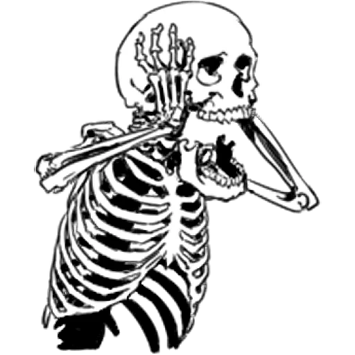 esqueleto, arte esqueleto, dibujo esqueleto, un esqueleto de fondo negro, esqueleto humano