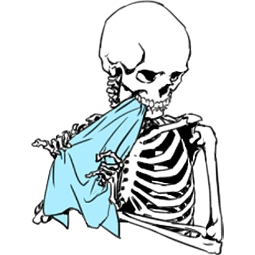 скелет, скелет чб, скелеты фон, скелет рисунок, обои айфон скелет