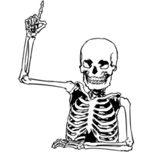 esqueleto, arte esqueleto, mema de esqueleto, spool scary skeletons meme