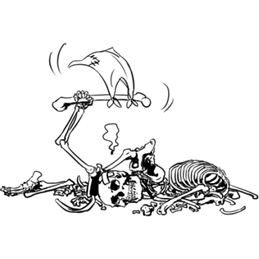 die katze, das skelett, skelettskizze, anatomie des ponyskeletts, referenz für skelettkatzen