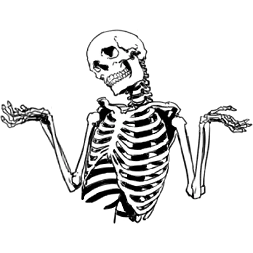 lo scheletro, skeleton, meme scheletrico, sticker per scheletro, scheletro umano