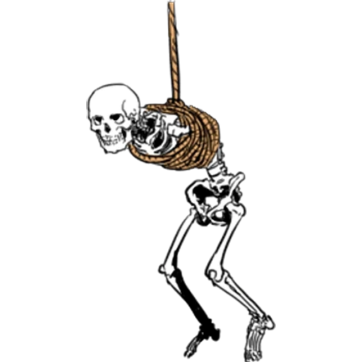 skeleton, skeleton, skeleton drawing, human skeleton, the skeleton of the human bones