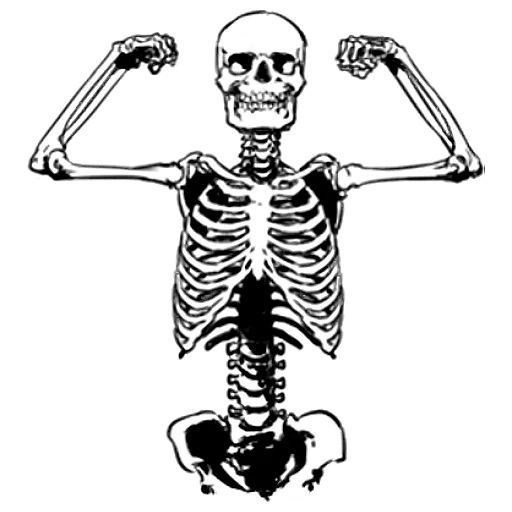 Just bones. Скелет с костями рисунок. Скелет стикер. Скелеты рисунки сеансы. Кости стикер.