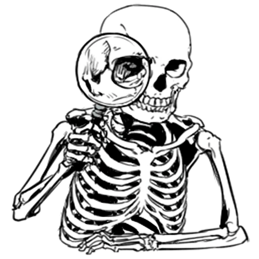 skelett, skelett, skelette von, skelettzeichnung, cartoon skelett