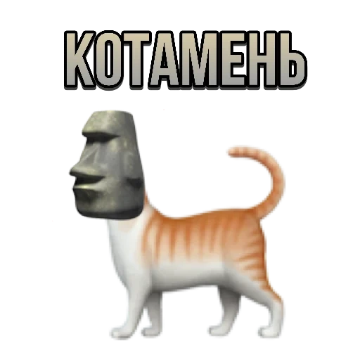 кот, мемы, кошка, прикол, любимая кошка