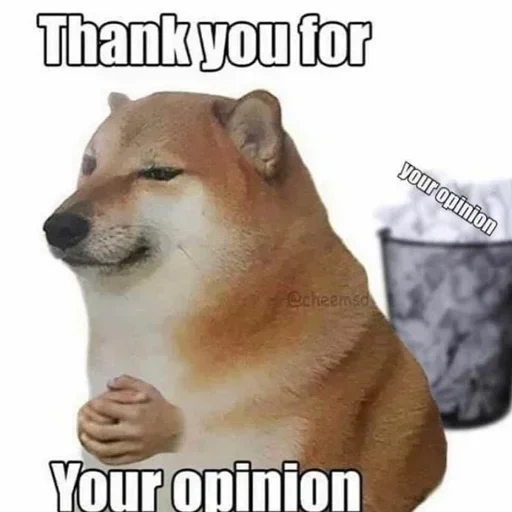 doge, doge meme, shiba inu, сиба ину мем, shiba inu meme