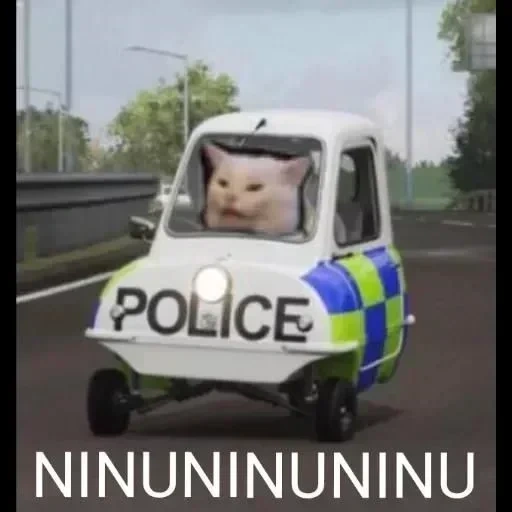 hyundai police, smart fortwo nypd, smart fortwo police, smart car nypd police, полицейский автомобиль