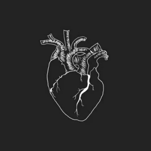 черный фон, сердце черное, сердце минимализм, сердце арт минимализм, человеческое сердце черном фоне