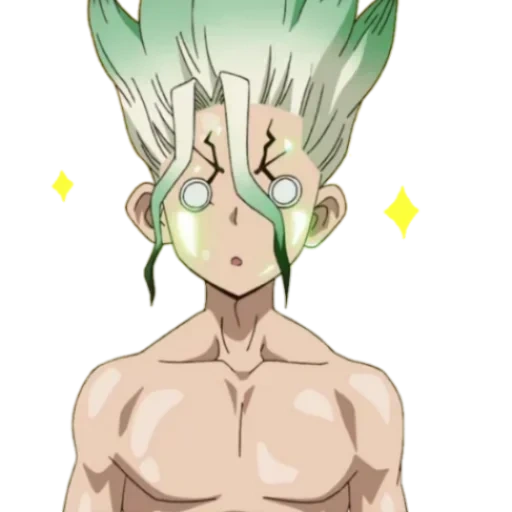 dr stone, dr stone, dr stone senku, sanka dr stone, dr stone senka