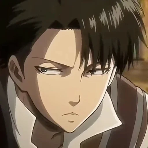 levi ackerman, l'attacco dei titani, levi ackerman, anime levi ackerman, capelli levi ackerman