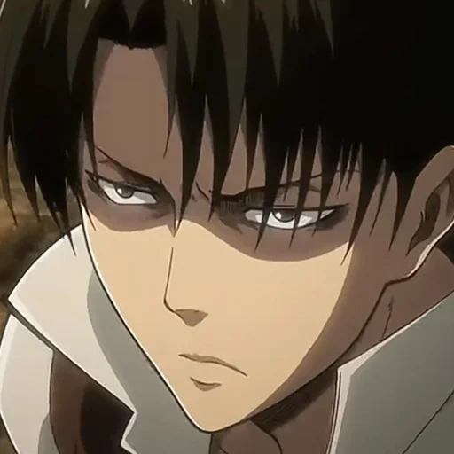 levi, levi aot, levy ackerman, titan animation, levi ackerman