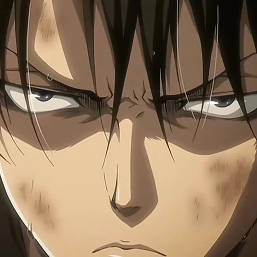 serangan titan, levi ackerman, levi ackerman, titan menyerang ova, attack on titan levi