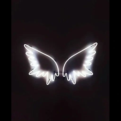 ailes néon, enseignes au néon, ailes néon, éclairage néon, ailes néon de l'ange