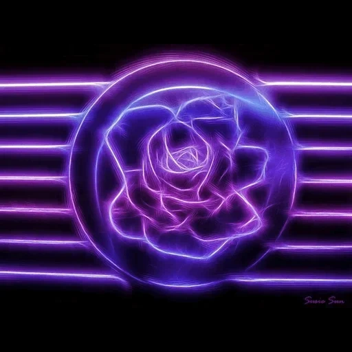 neon rose, purple neon, neon flowers, violet rose neon, pink neon rose