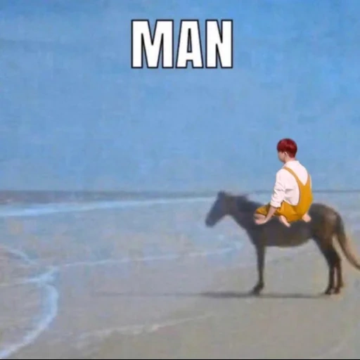 caballo, el hombre, bien caballos, caballo por el meme del mar, un caballo junto al mar