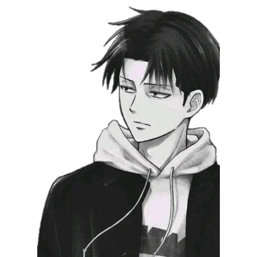 prélèvement, levi, anime de prélèvement, prélèvement, levi ackerman