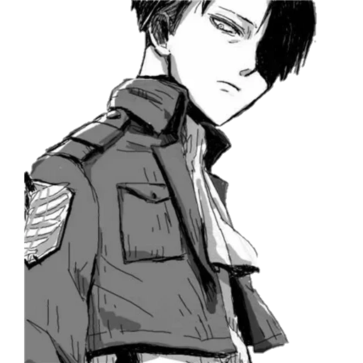 levy acerman, levi ackerman, levy ackerman sas, levy ackerman yeger, captain levy angriff titanen