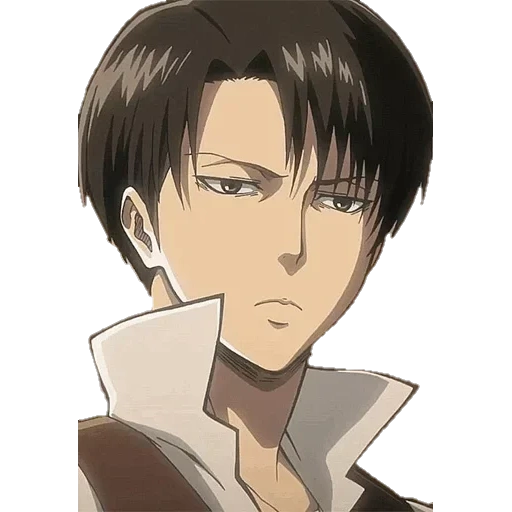 levi, captain levi, levy ackerman, levi ackerman, captain levy ackerman