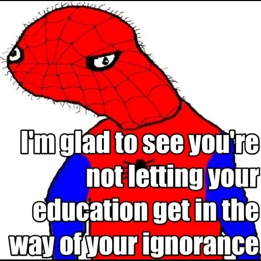spudmoon, your meme, spiderman, text in englischer sprache, spider-man meme