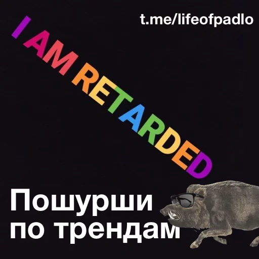 rhinoceros, boar meme, kabanchikom, kabanchik meme, routing a boar