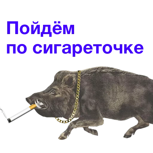 the pod, kabanchikom, eber meme, mit einem wildschwein vorbeistürmen