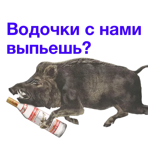 kabanchikom, kabanchik meme, kabanchik good, routing a boar, he darted in a boar