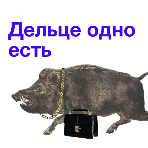 boar, boar, kabanchikom, kabanchik meme, questioning a kabanchik control