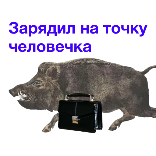 the pod, kabanchikom, eber meme, mit einem wildschwein vorbeistürmen, geladener pod