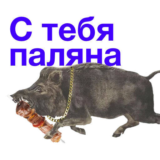 boar, kabanchikom, kabanchik meme, he darted in a boar