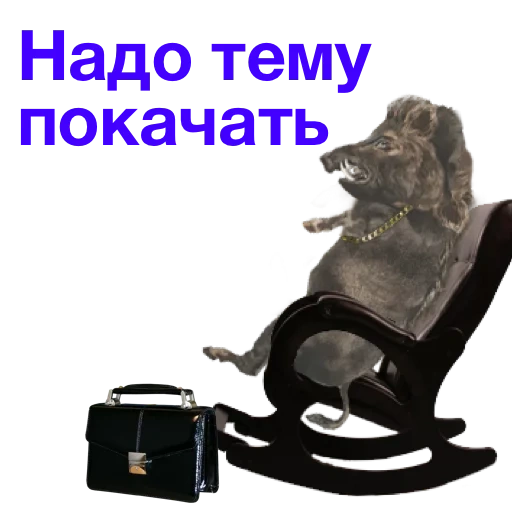 boar, boar, kabanchik meme, rocking chair, page text
