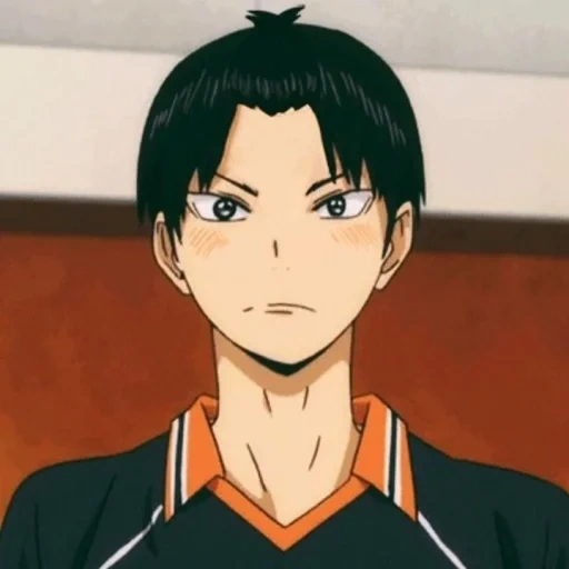 deer hill, haikyuu, sanhe deer hill, lushan friends masculino, voleibol marino