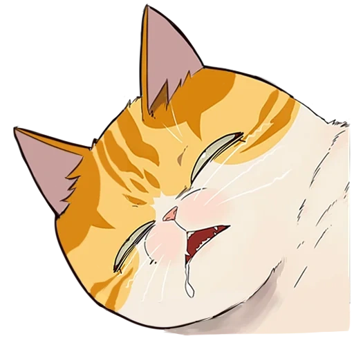 chat, éliminé, kayden elisad, dessin de chat anime