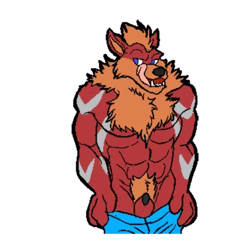 animation, foxy muscles, fox muscle, animal wolf, wolf muscle transformation