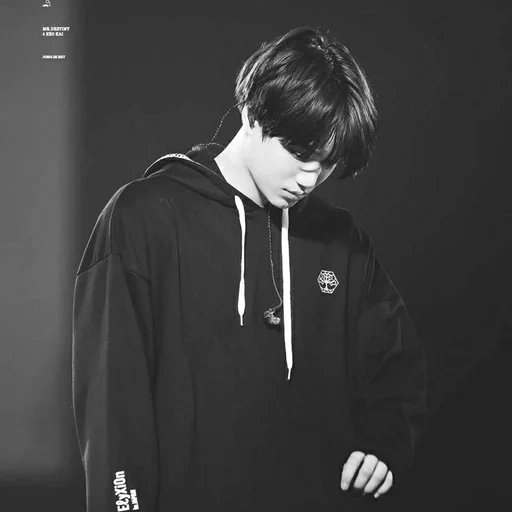 чонгук, kai exo, чон чонгук, пак чанёль, jungkook bts