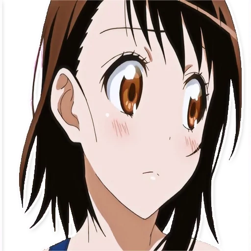 nisekoi, animação japonesa, kosaki onodera, onoda ozaki, ono temple wuzi