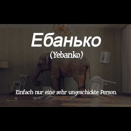 memes, text, ebanko, screenshot, ebanko joke