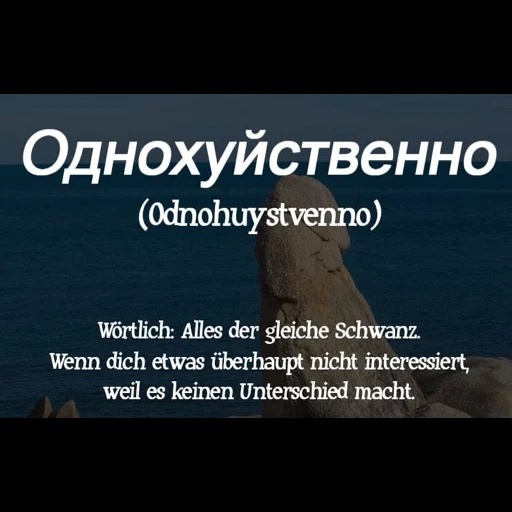 text, mensch, bildschirmfoto, zitate sind lustig, zitate motivieren