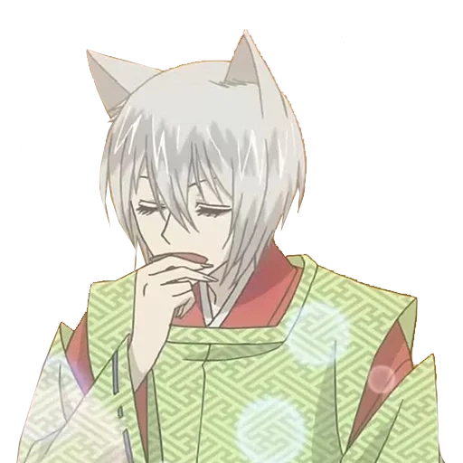 tomoe, tomoe fox, anime tomoe, tomoe full growth, tomoe is very pleasant god