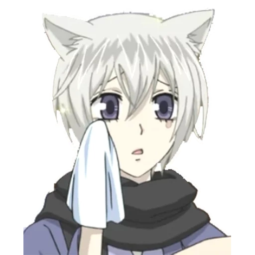 sehr angenehmer gott tomoe little, tomoe fuchs, tomoe little, sehr schöner gott tomoe, tomoe anime