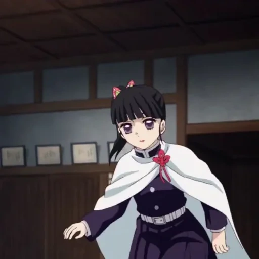 animação, menina, personagem de anime, corte a lâmina do diabo shinobu kocho, lâmina de corte demoníaca de kanao x tanjiro