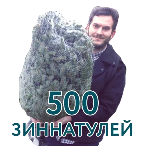 мужчина, cannabis, грамм марихуаны, марихуана горилла, растение марихуана