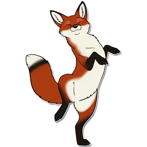 fox, лиса, kandrel fox