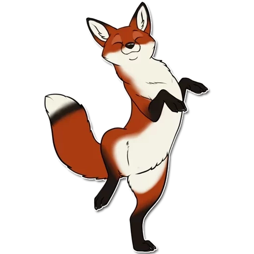 raposa, raposa, kandrel fox