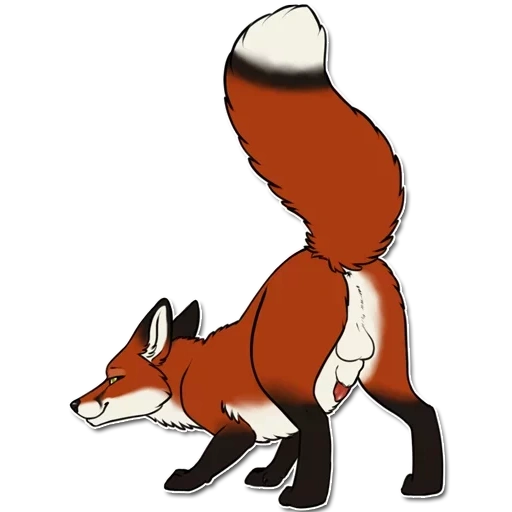 fox, kandrel fox