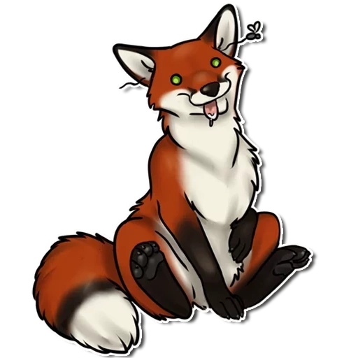 the fox, kanderel fox