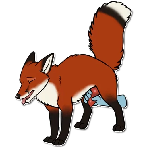 fox, m fox, kandrel fox, animation du renard