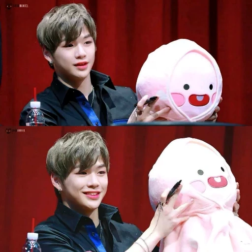 ci ming, kang daniel, btob sonje, bts jungkook, kang daniel produksi 101