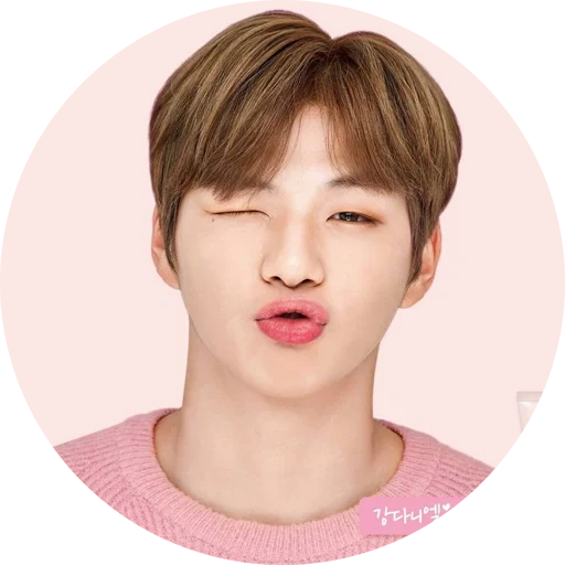 wanna one, park chin yong, zheng zhongguo, kang daniel, membre de wanna one