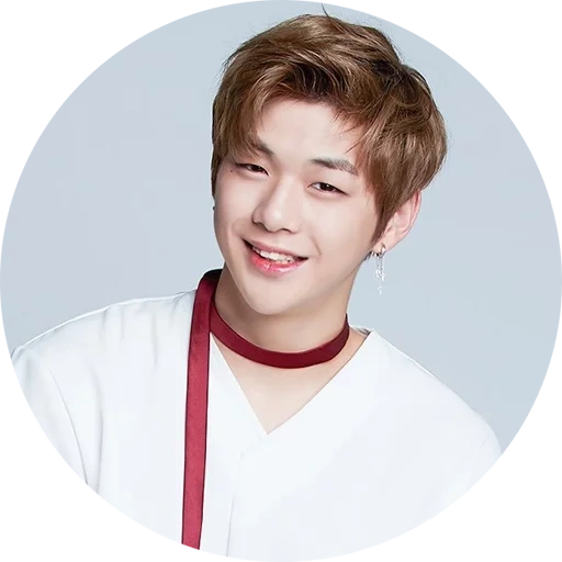 qimin, bts gin, wanna one, kang daniel, kahn daniel reflash