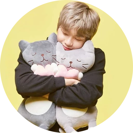 kang daniel, plush toy cat, soft wolf toy, cat toy pillow, plush toy pillow cat